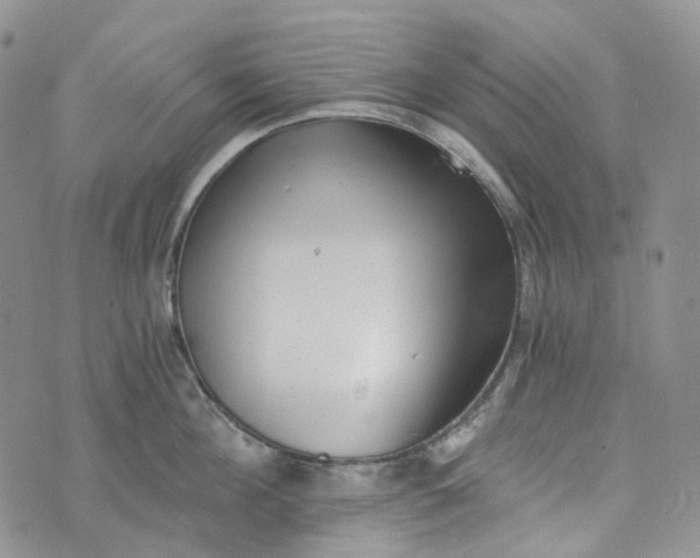 X0000072980908200608041240