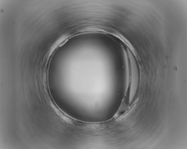 X0000072980909200608041240