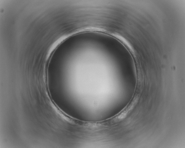 X0000072980910200608041240