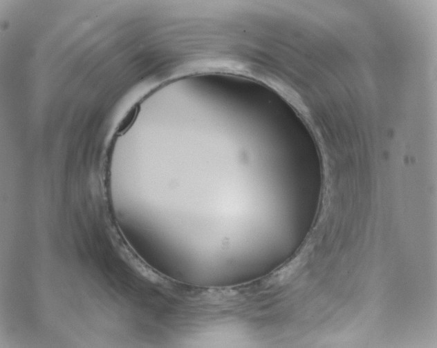 X0000072980912200608041240