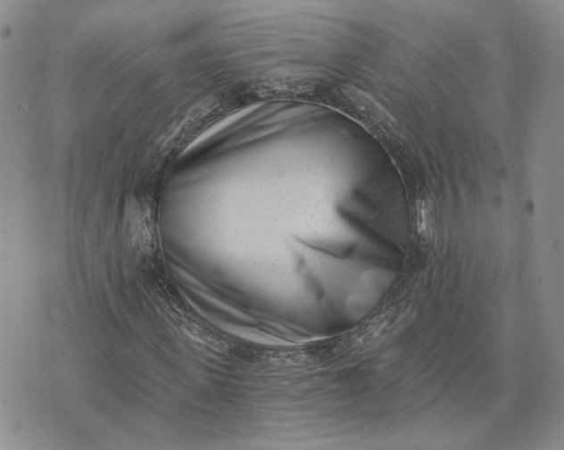 X0000072980915200608041239