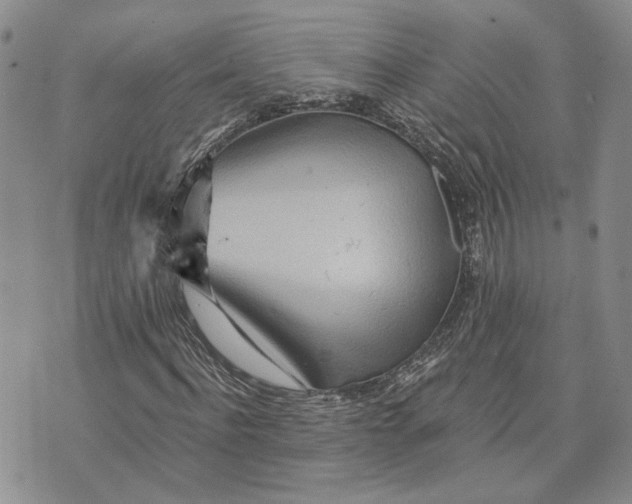 X0000072980916200608041239