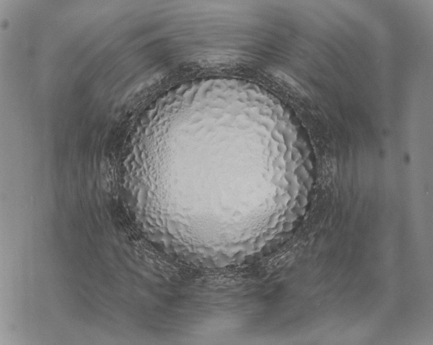 X0000072980917200608041239