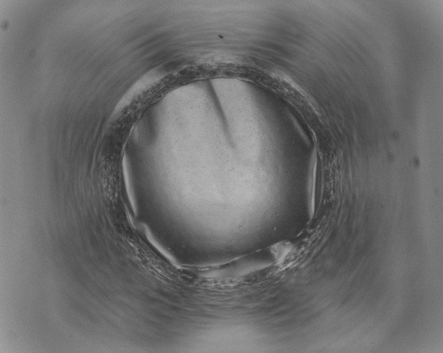 X0000072980919200608041239