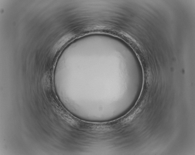 X0000072980921200608041239