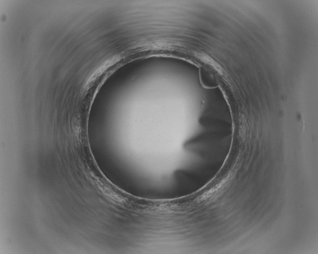 X0000072980922200608041239