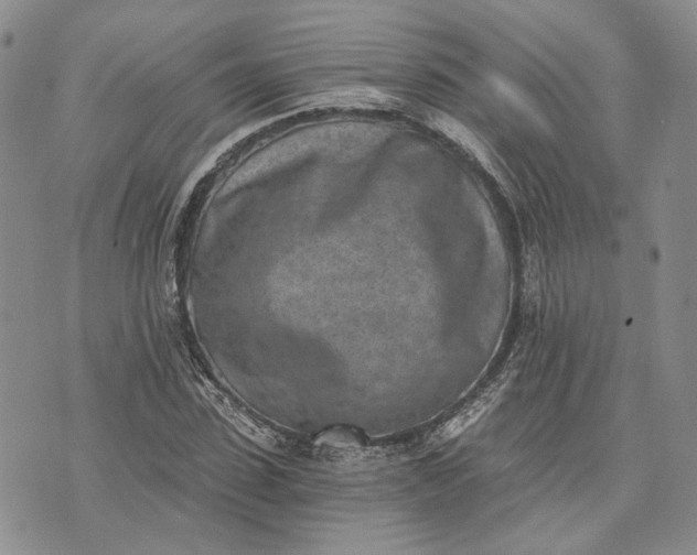 X0000072980923200608041239