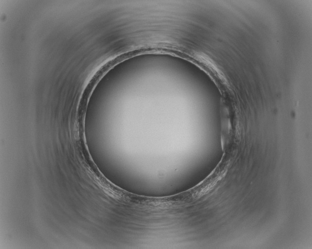 X0000072980924200608041239