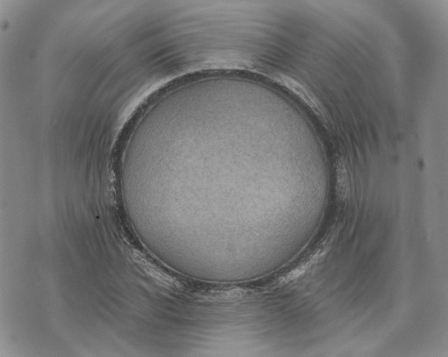 X0000072980926200608041239