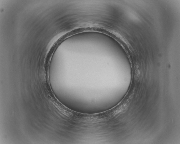 X0000072980927200608041239