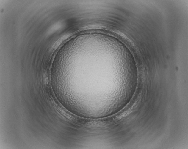 X0000072980929200608041239