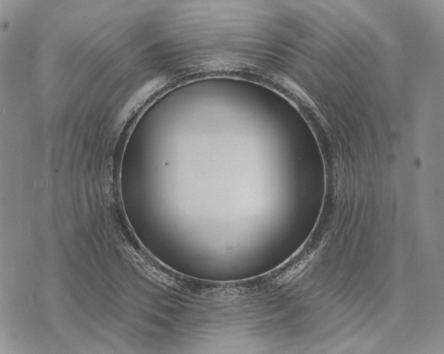 X0000072980930200608041239