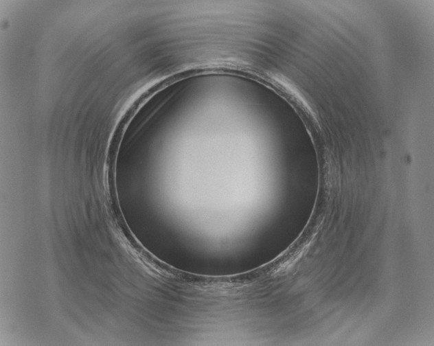 X0000072980932200608041239