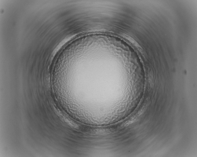 X0000072980933200608041239