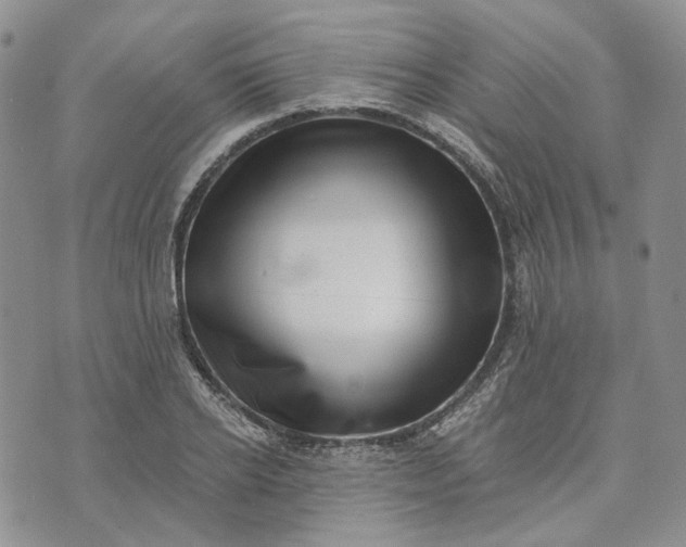 X0000072980934200608041239