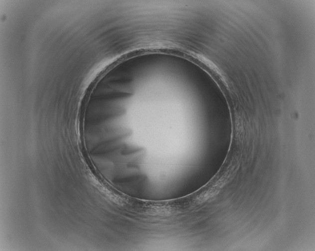 X0000072980935200608041239