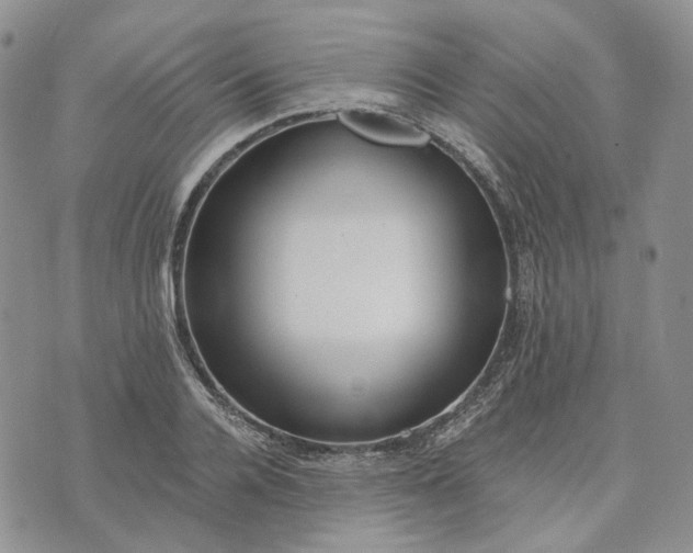 X0000072980936200608041239