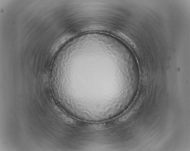 X0000072980937200608041239