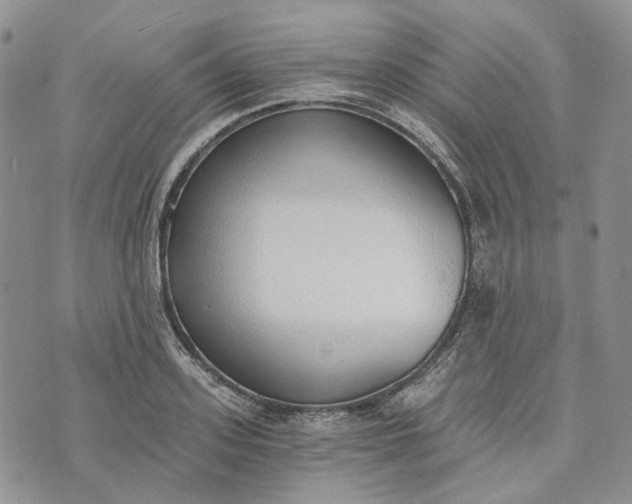 X0000072980939200608041239