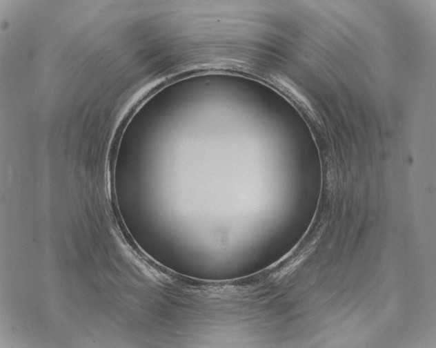 X0000072980940200608041239