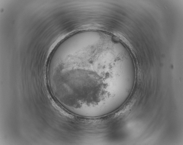 X0000072980941200608041239