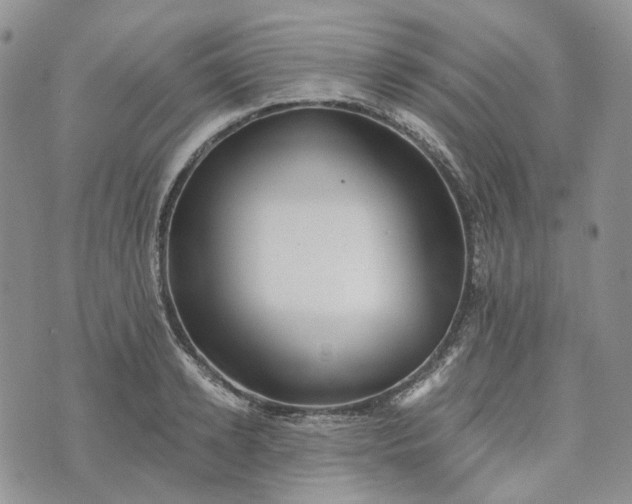 X0000072980942200608041239