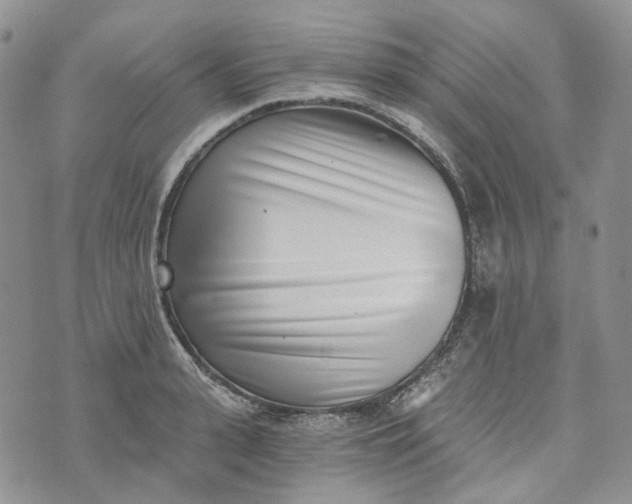 X0000072980943200608041240