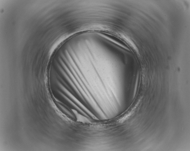 X0000072980944200608041240