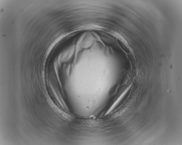 X0000072980947200608041240