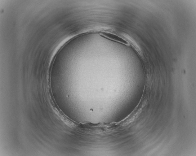 X0000072980948200608041240