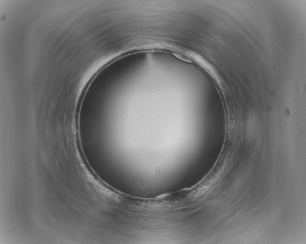 X0000072980951200608041240