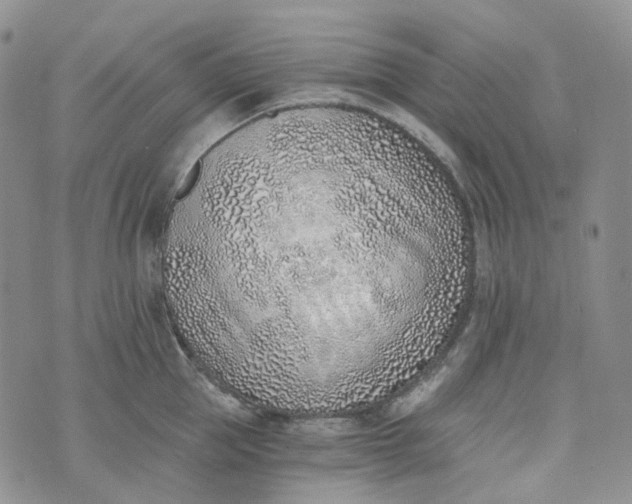 X0000072980953200608041240