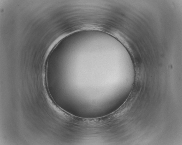 X0000072980955200608041240