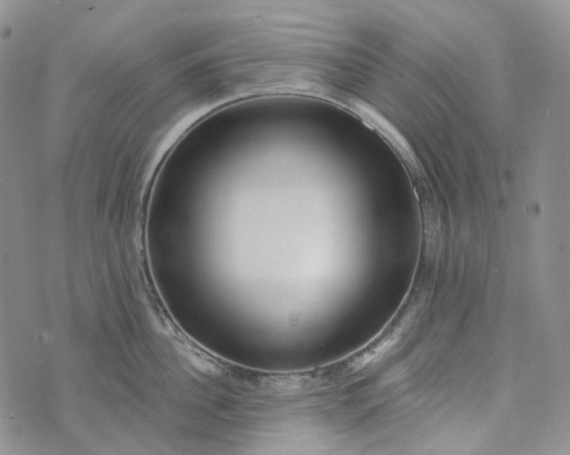 X0000072980956200608041240