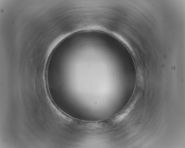 X0000072980959200608041240