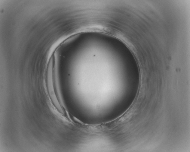 X0000072980960200608041240