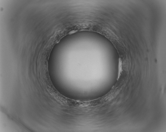 X0000072980961200608041239