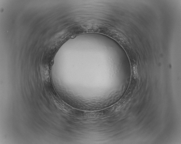 X0000072980963200608041239