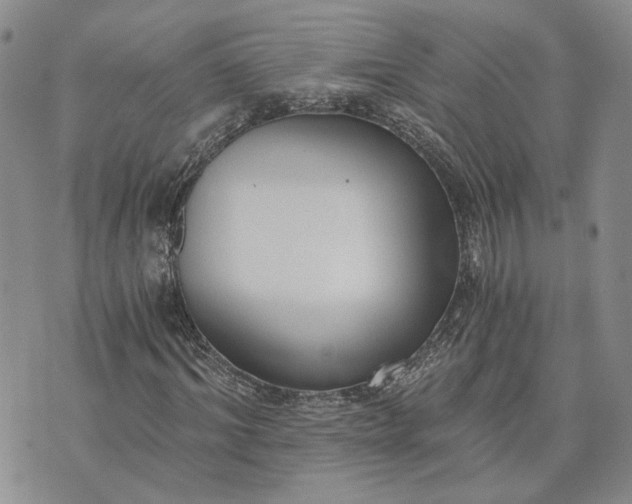 X0000072980964200608041239