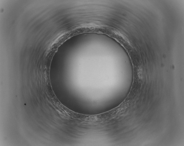 X0000072980968200608041239