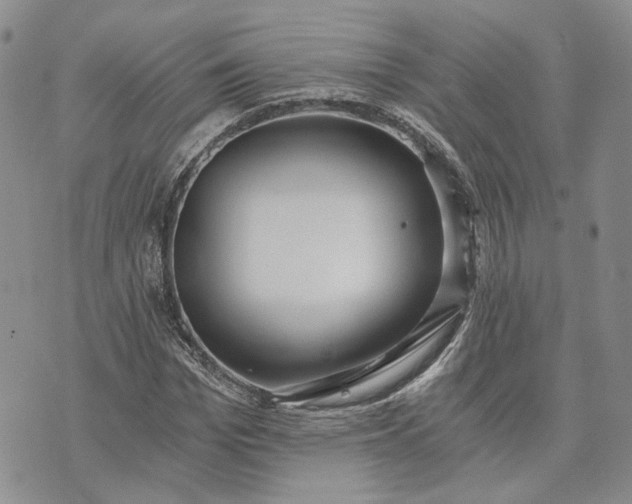 X0000072980969200608041239