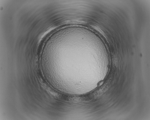 X0000072980971200608041239