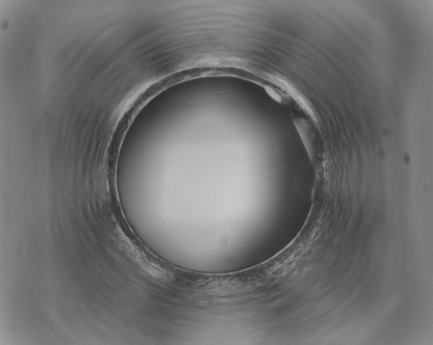 X0000072980972200608041239