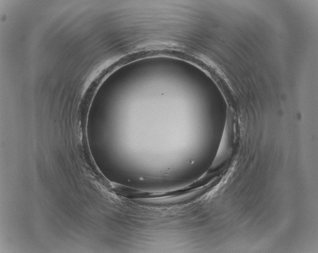 X0000072980973200608041239