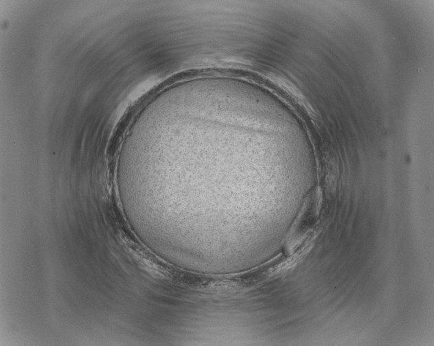 X0000072980974200608041239