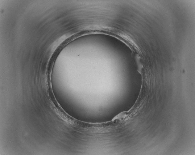 X0000072980976200608041239