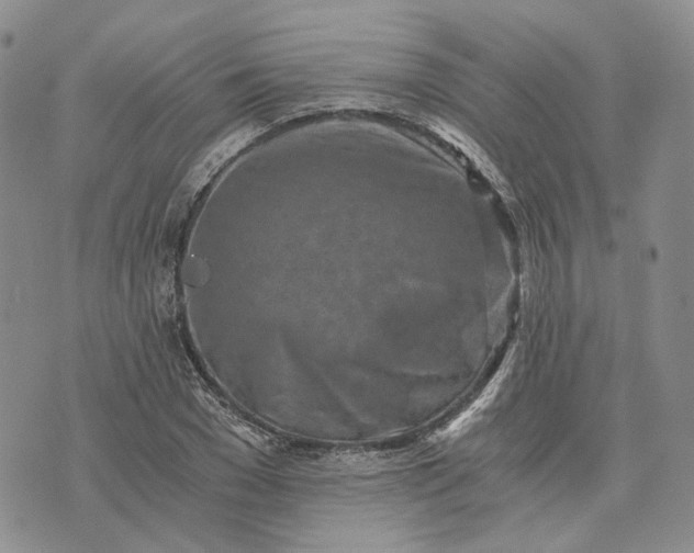 X0000072980977200608041239