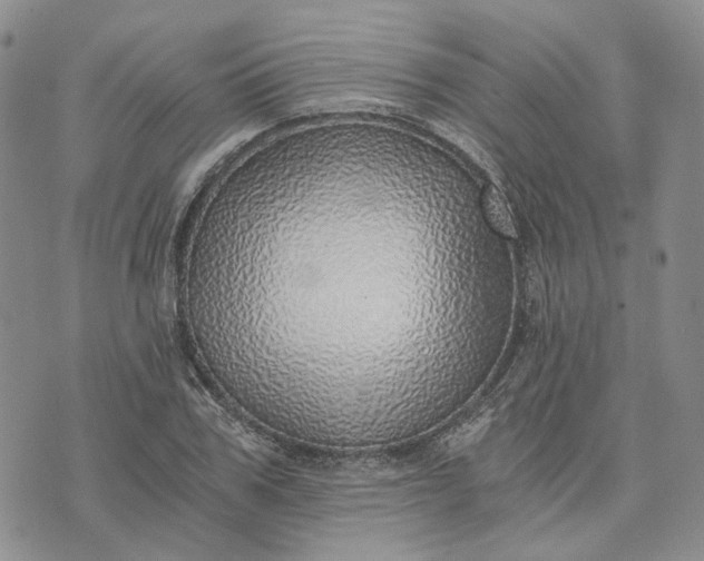 X0000072980979200608041239