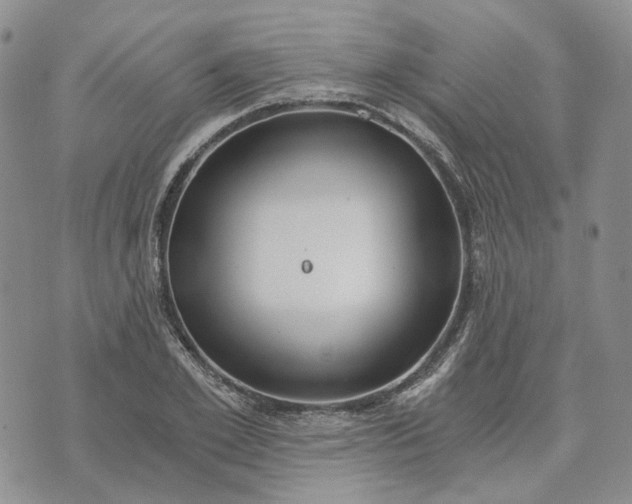 X0000072980981200608041239