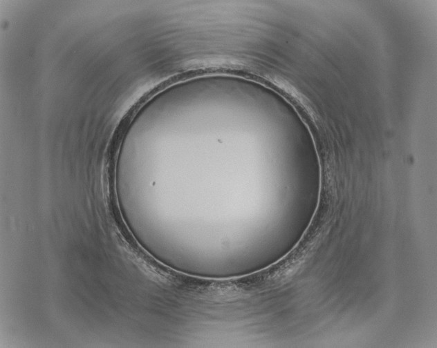 X0000072980983200608041239